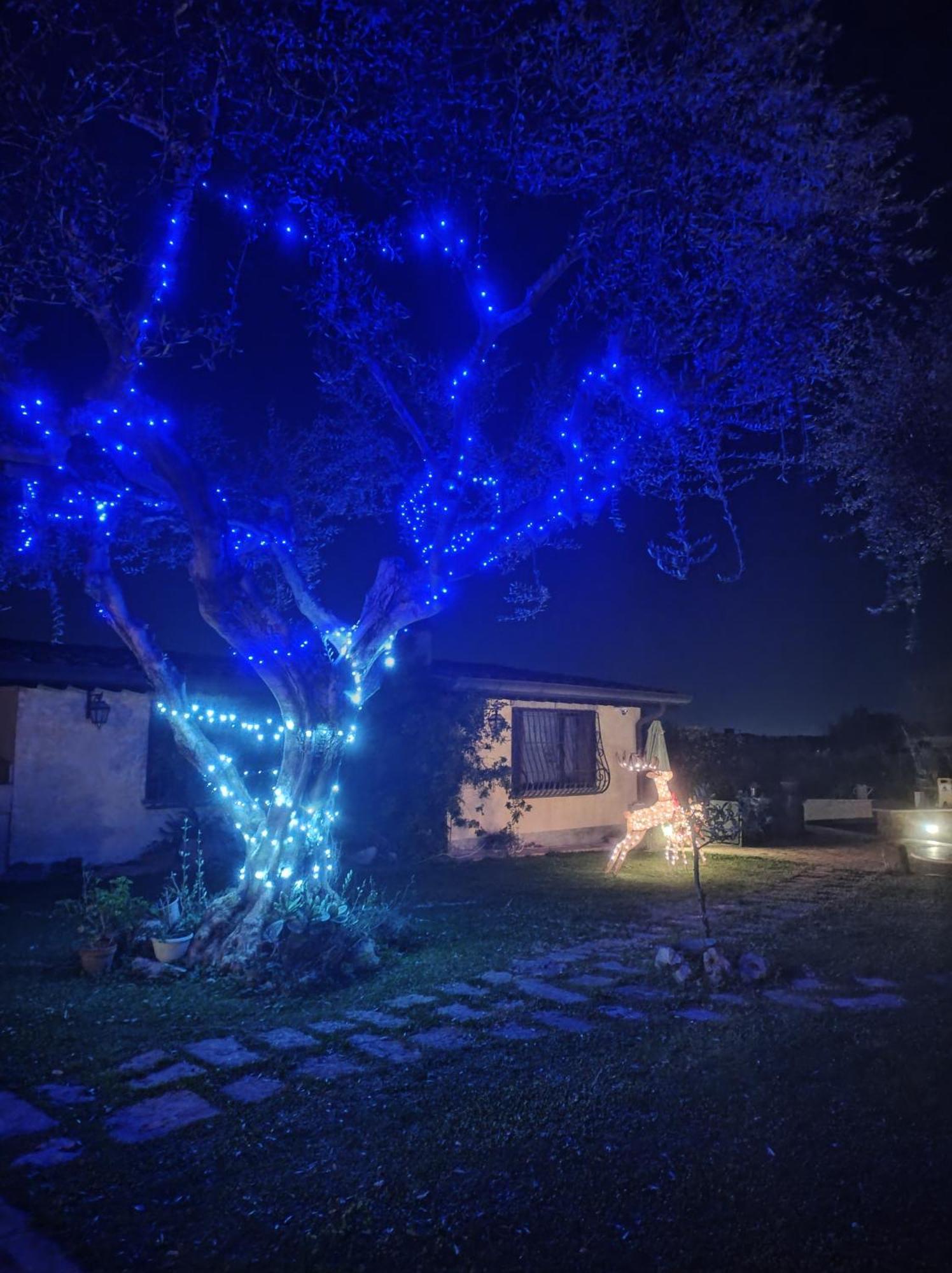 La Valle Dei Casali Com Рим Екстер'єр фото